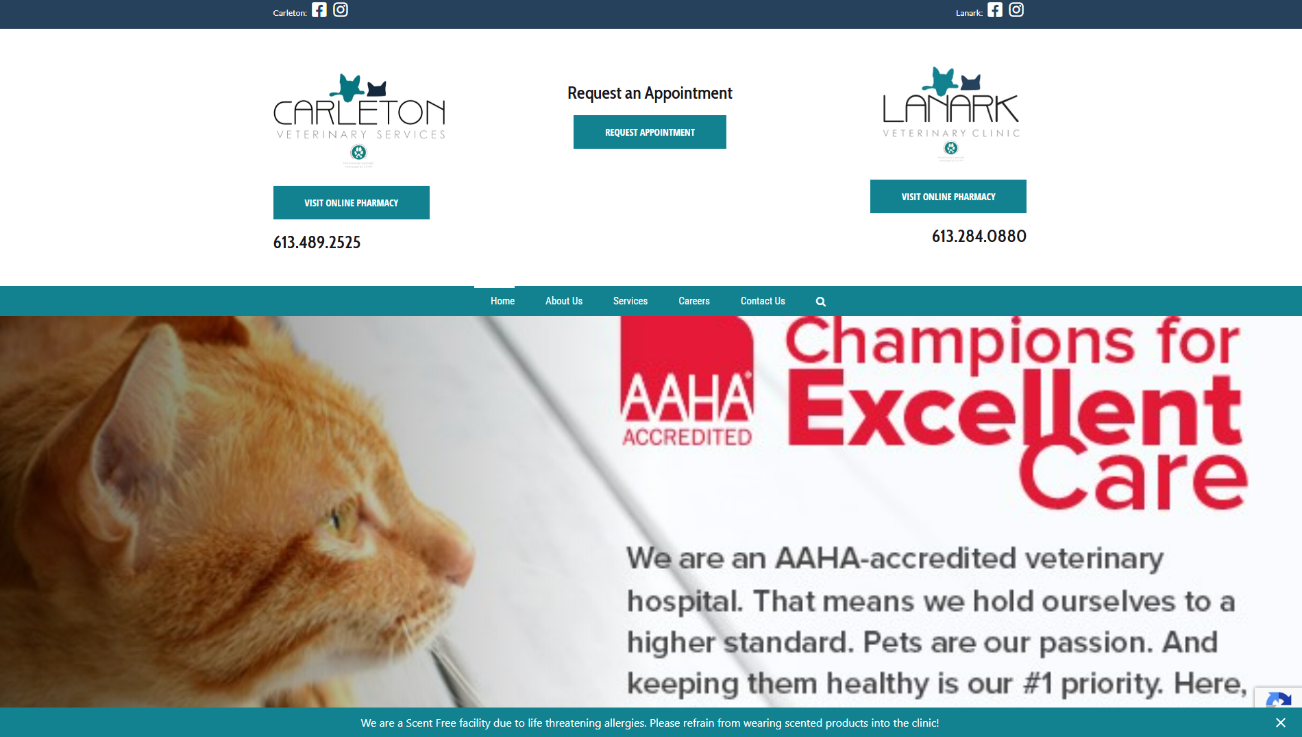 Carleton Veterinary Services e Lanark Veterinary Clinic — screenshot 1