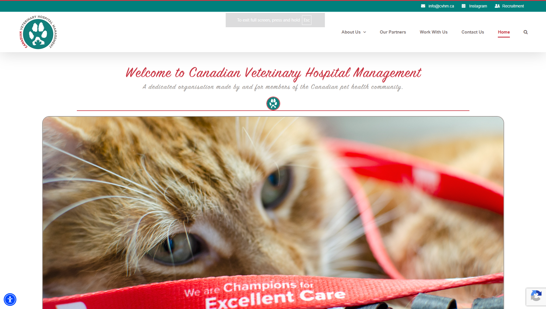 CVHM Animal Hospital — screenshot 1