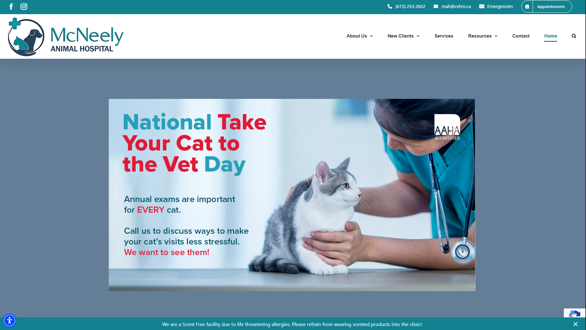 McNeely Animal Hospital — screenshot 1